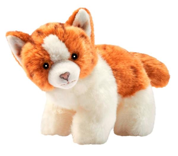 Anima Peluche Chaton Brun Blanc - 16 cm